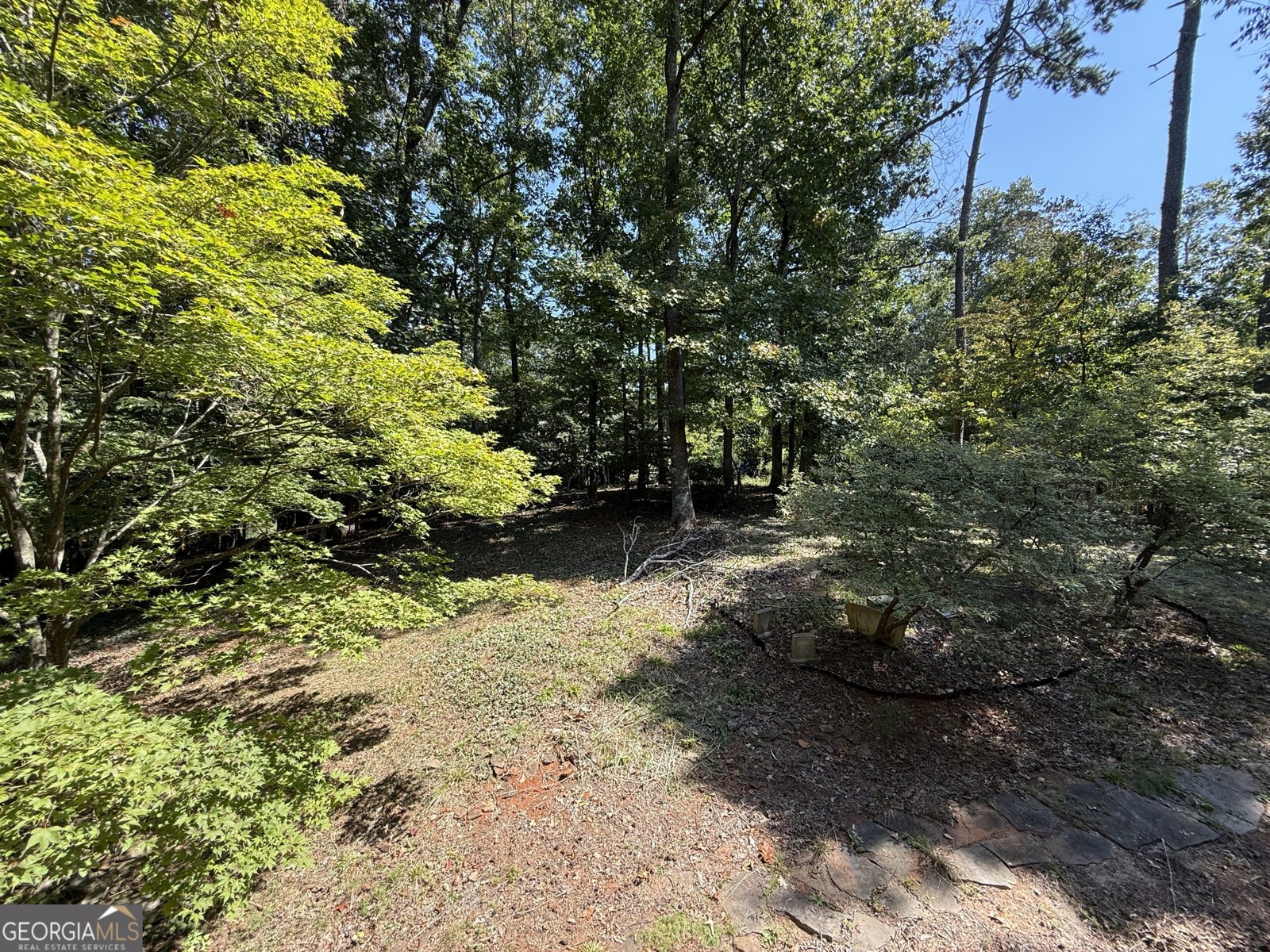 4651 Deep Creek Drive Sugar Hill - 3