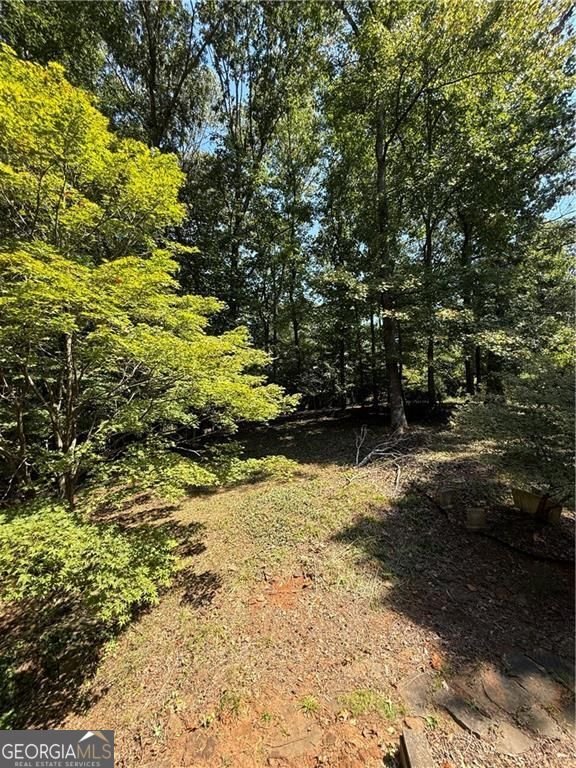 4651 Deep Creek Drive Sugar Hill - 35