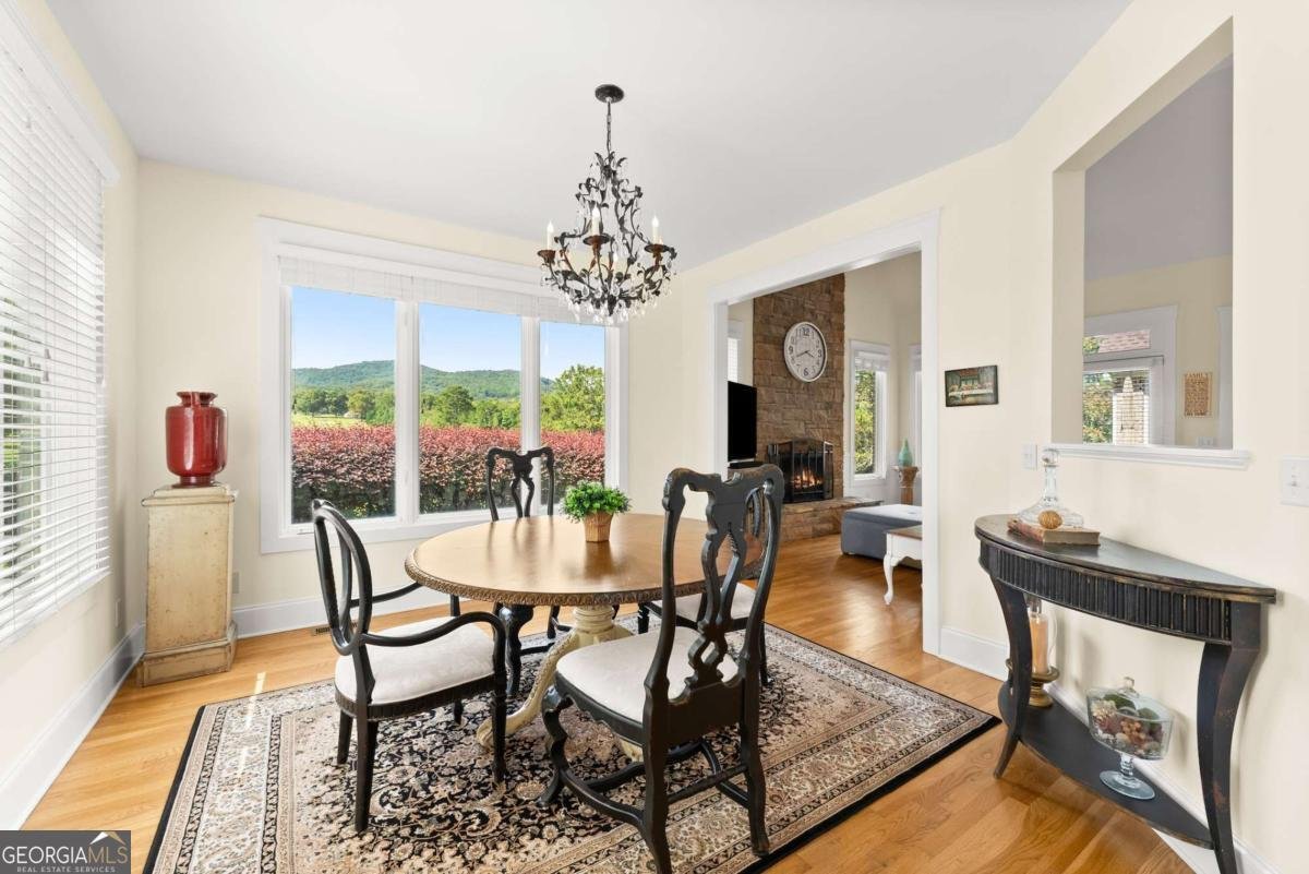 526 Orchard Drive Clarkesville - 17
