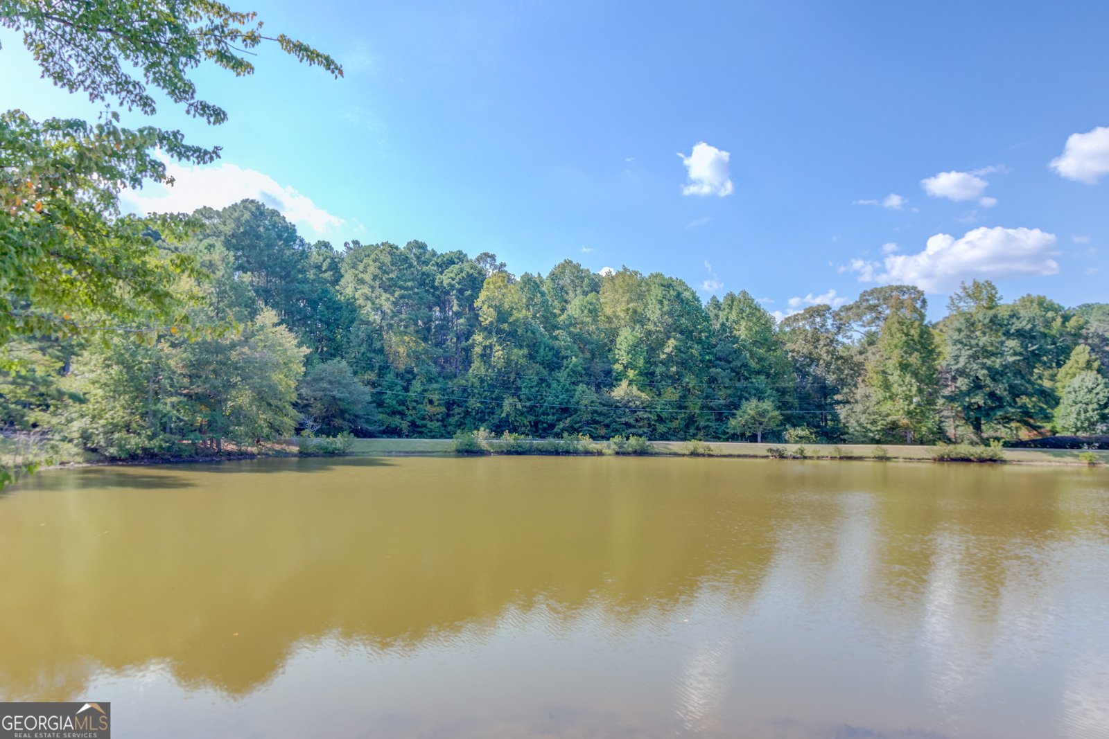 3865 Weeping Willow Lane Loganville - 50