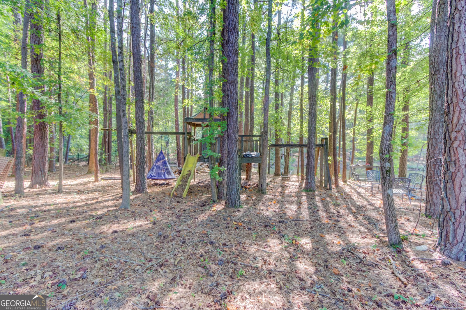 3865 Weeping Willow Lane Loganville - 53