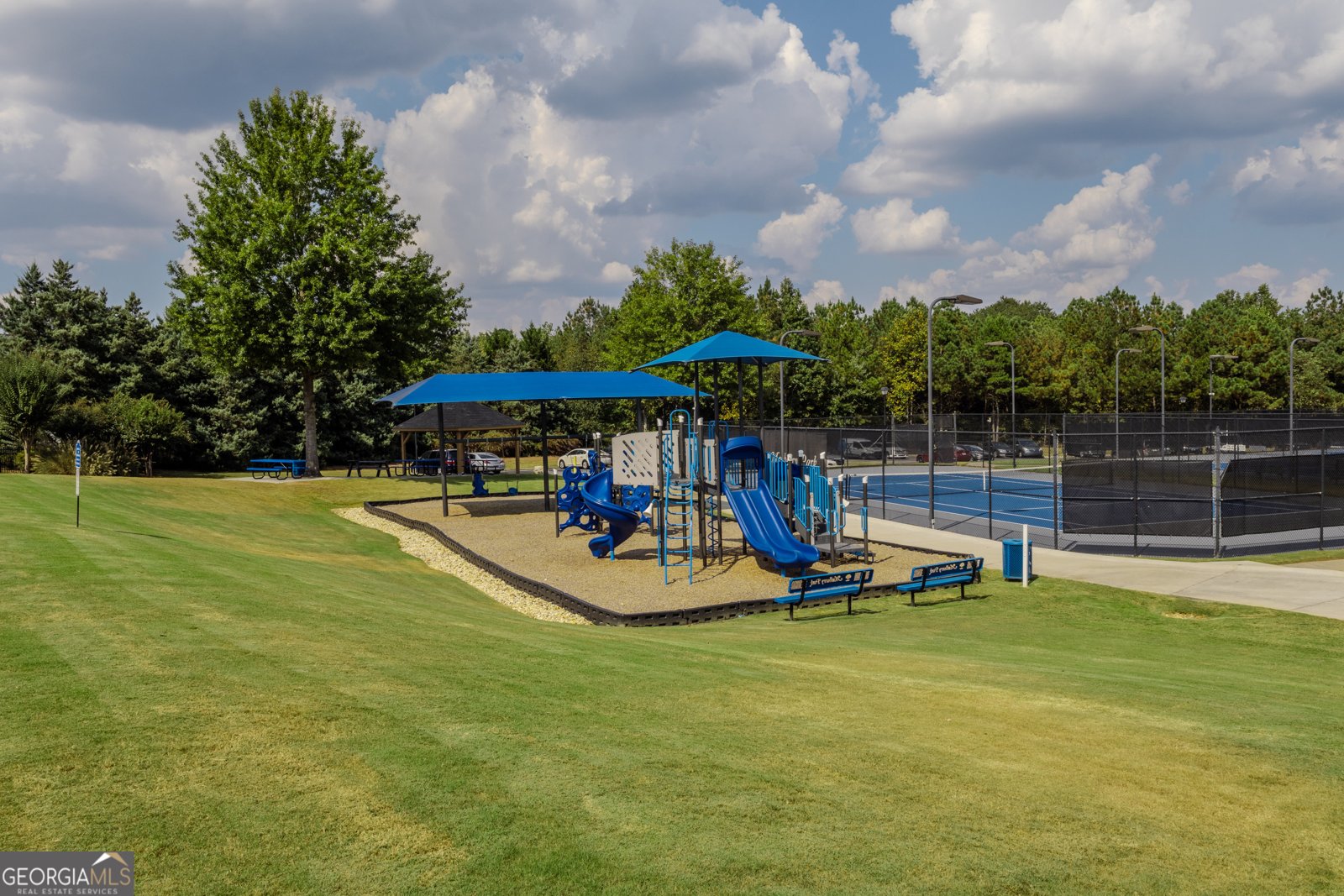 6125 Mulberry Park Drive Braselton - 33