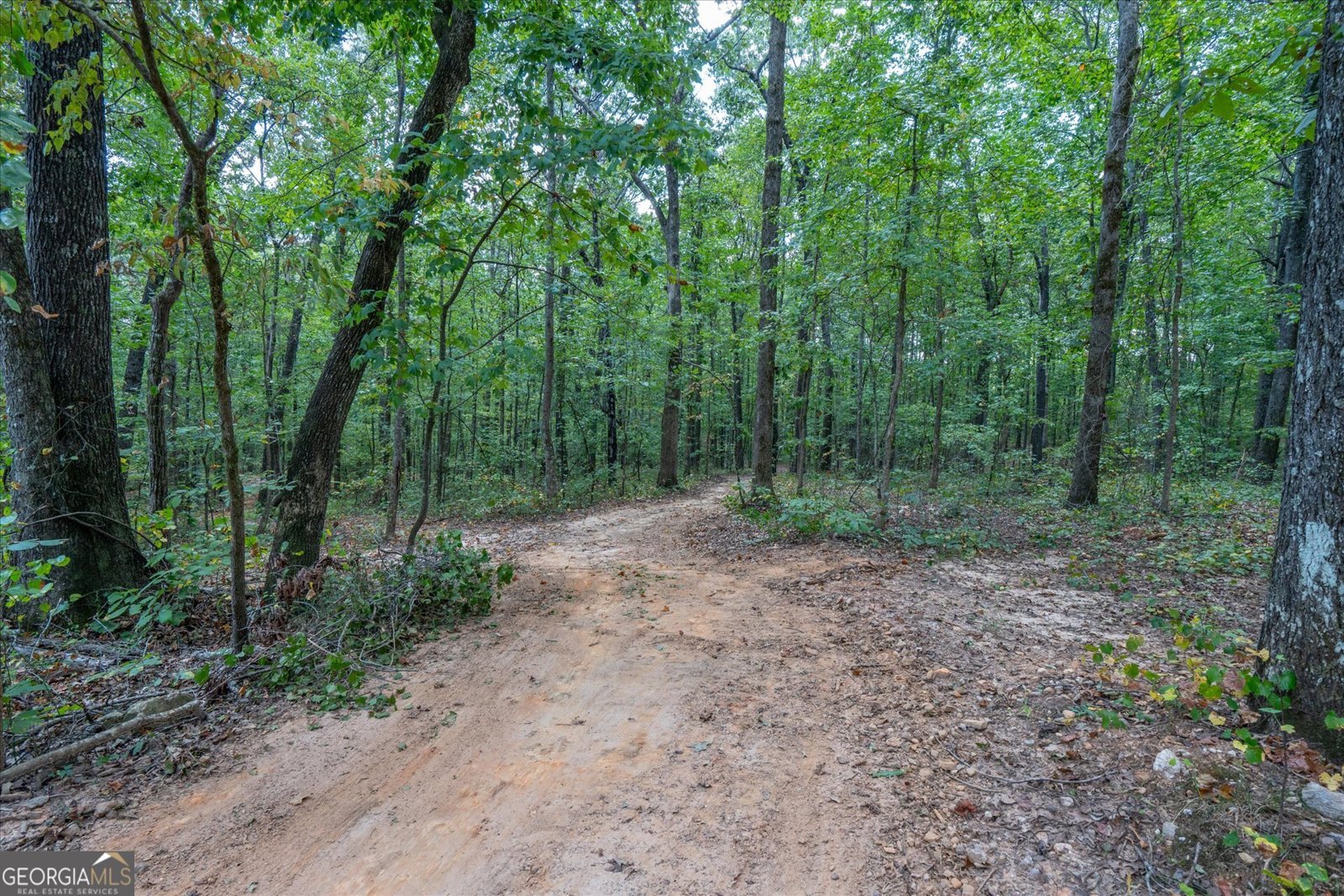 6058 Mount Zion Road Waco - 11