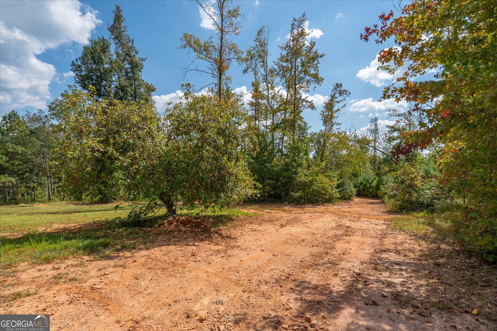 6058 Mount Zion Road Waco - 16