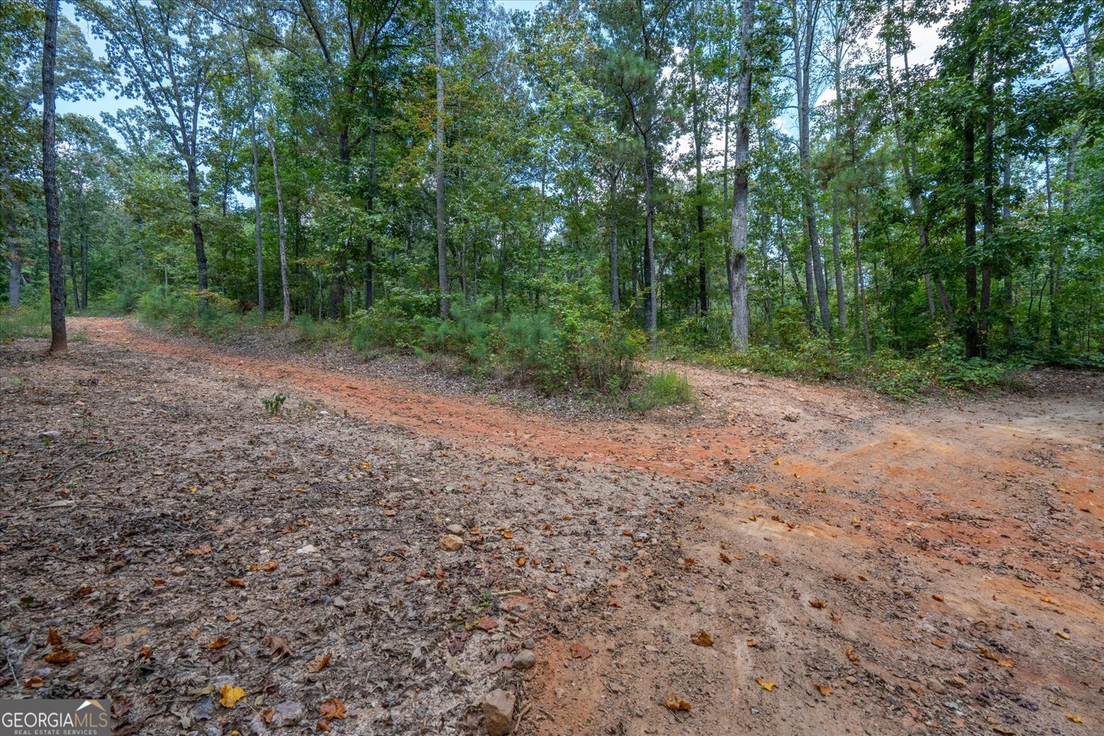 6058 Mount Zion Road Waco - 61