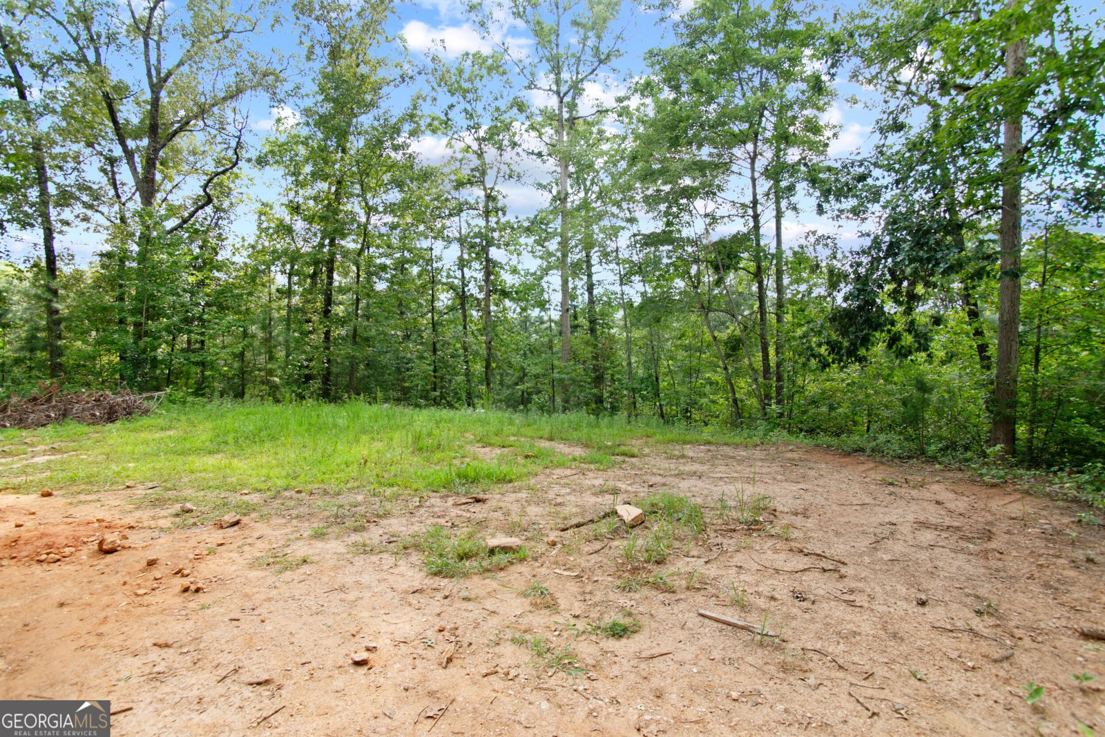 284 Wildcat Creek Road Ellijay - 11