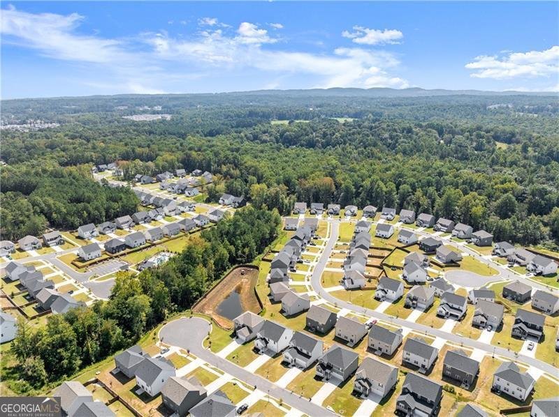 64 Understory Trail Dawsonville - 18