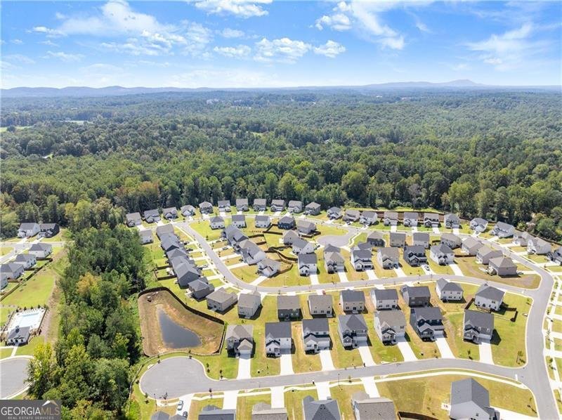 64 Understory Trail Dawsonville - 19