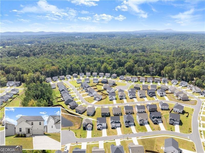 64 Understory Trail Dawsonville - 20