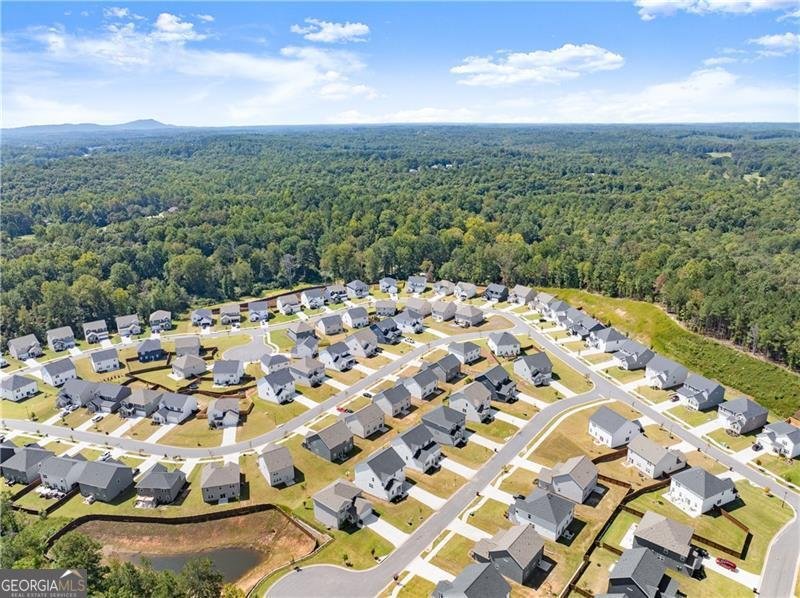 64 Understory Trail Dawsonville - 21