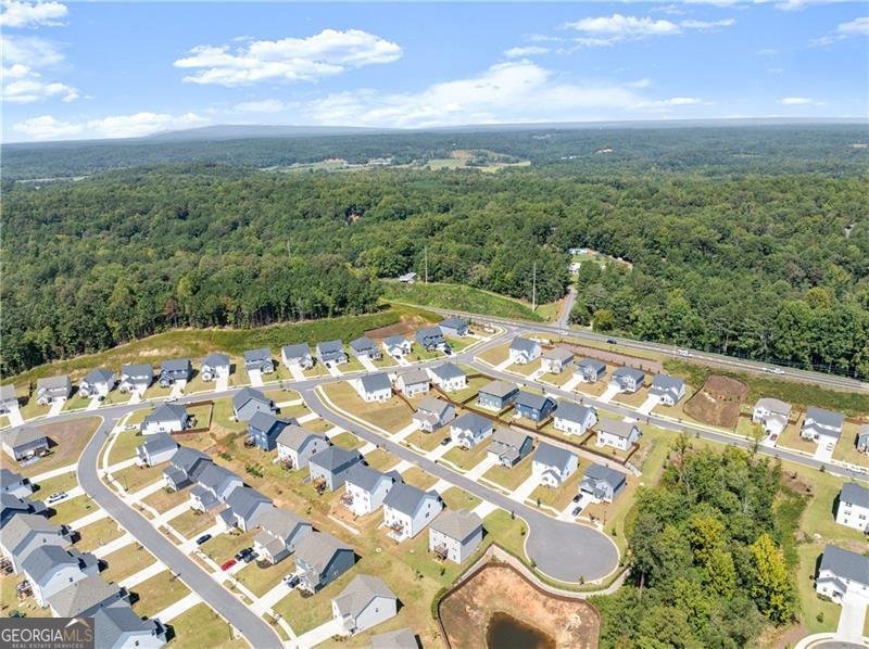 64 Understory Trail Dawsonville - 22