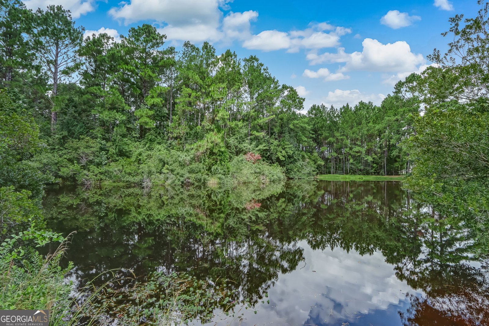208 Foxwood Drive Kingsland - 36