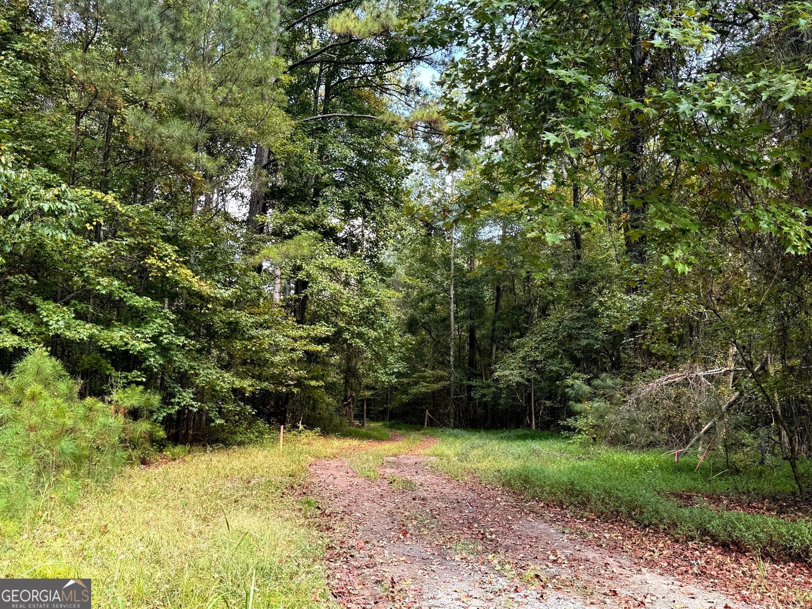 0 McBride Road Lot 2 Fayetteville - 4