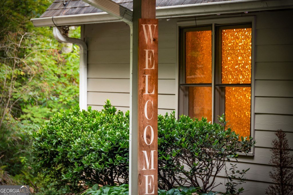210 White Pine Acres Drive Blue Ridge - 41