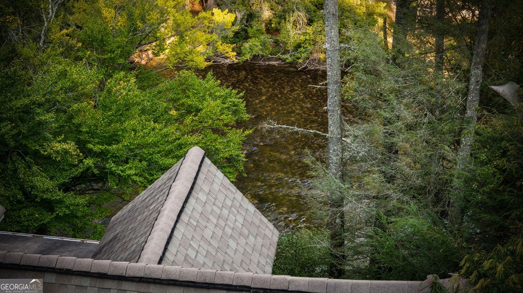 210 White Pine Acres Drive Blue Ridge - 82