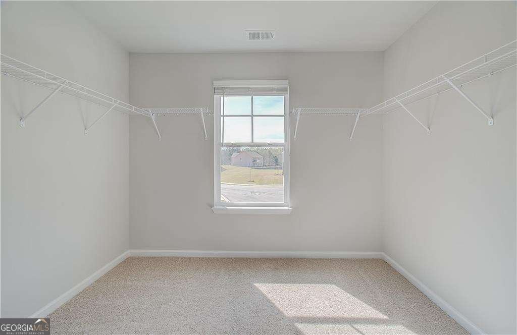 132 Felicity Pike Locust Grove - 25