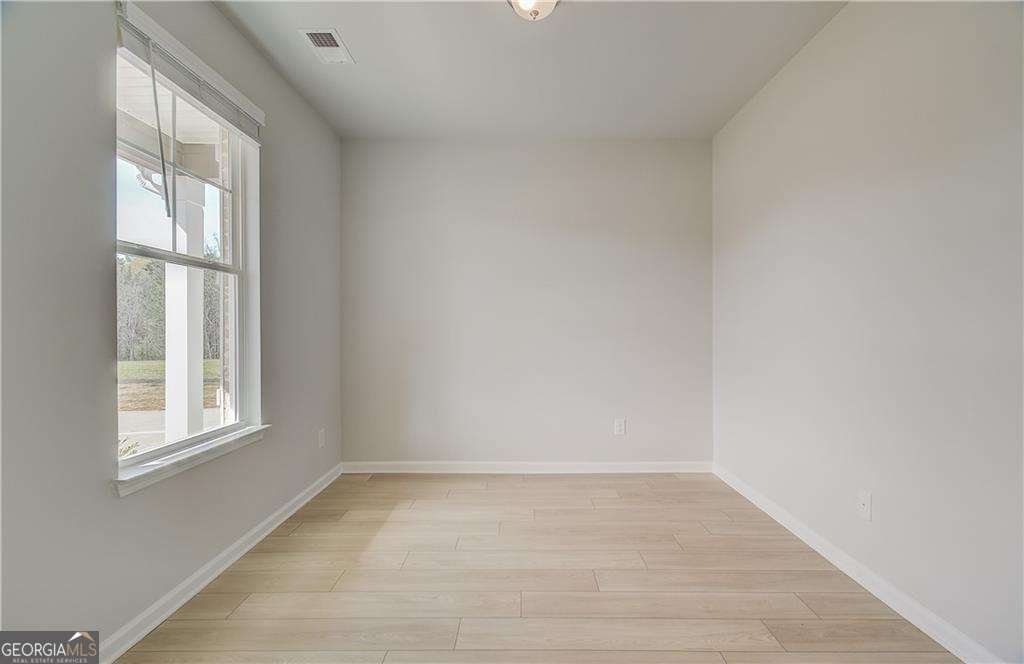 132 Felicity Pike Locust Grove - 3