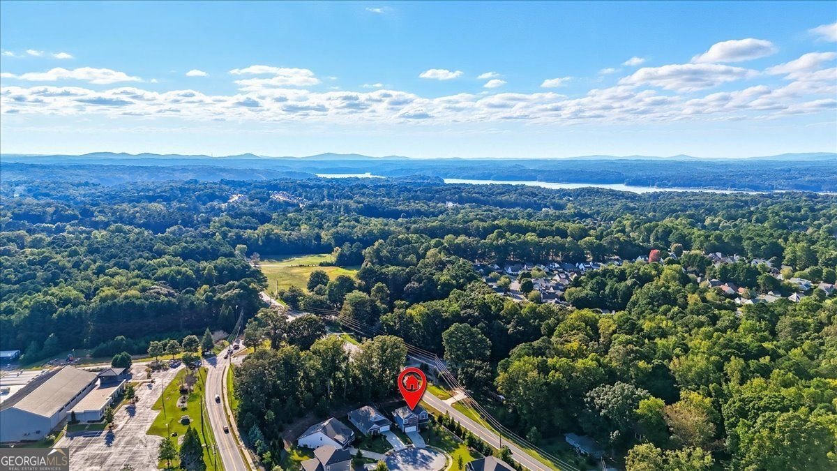 103 Overlook Ridge Way Canton - 49