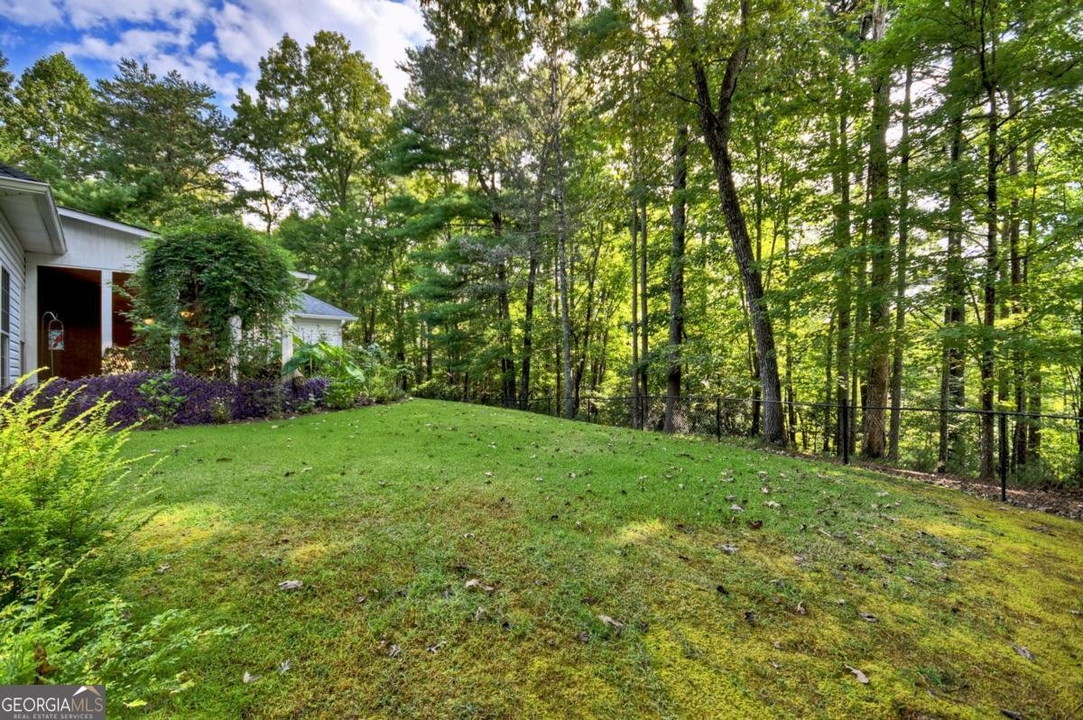 1075 Cherokee Drive Ellijay - 32