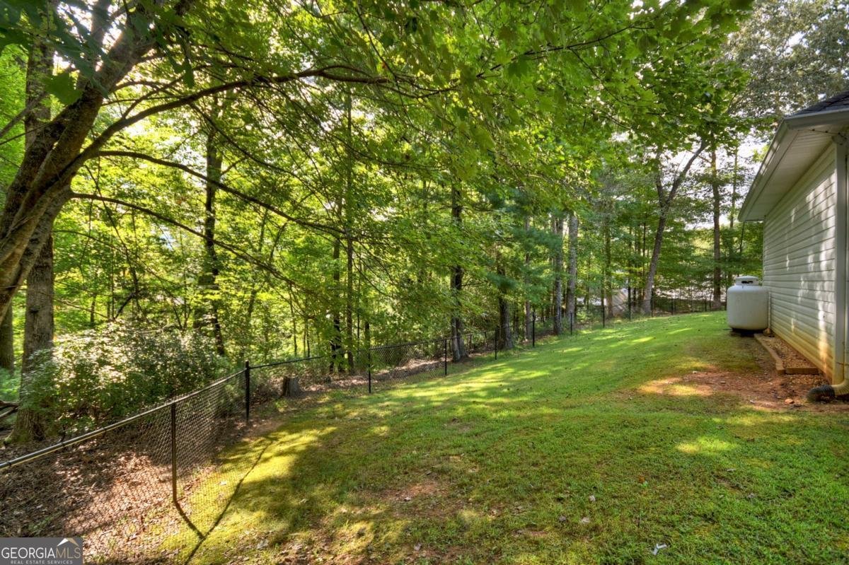 1075 Cherokee Drive Ellijay - 33