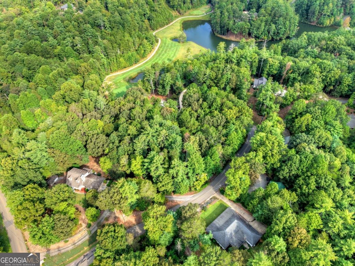 1075 Cherokee Drive Ellijay - 38