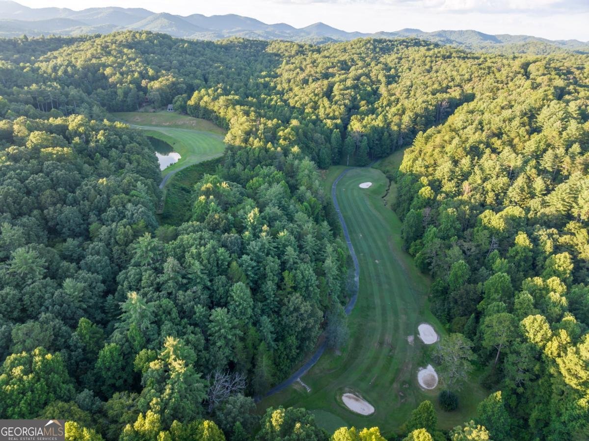 1075 Cherokee Drive Ellijay - 46