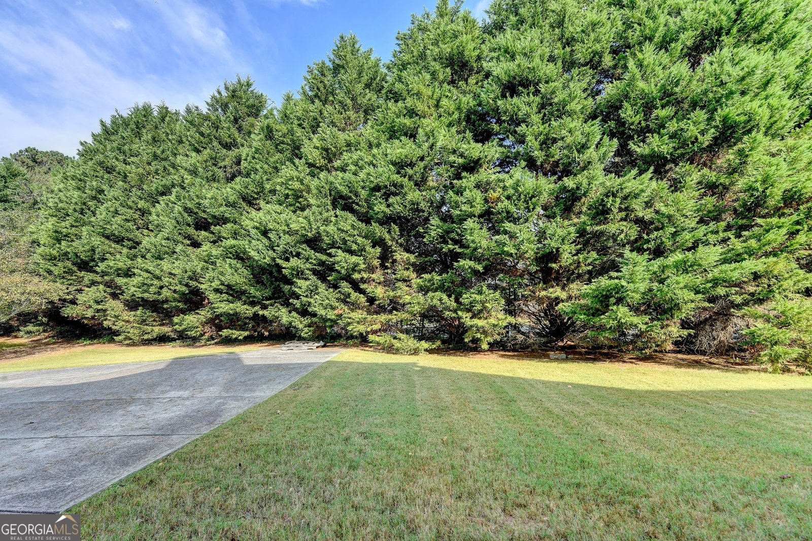 521 Sandy Cove Drive Loganville - 59