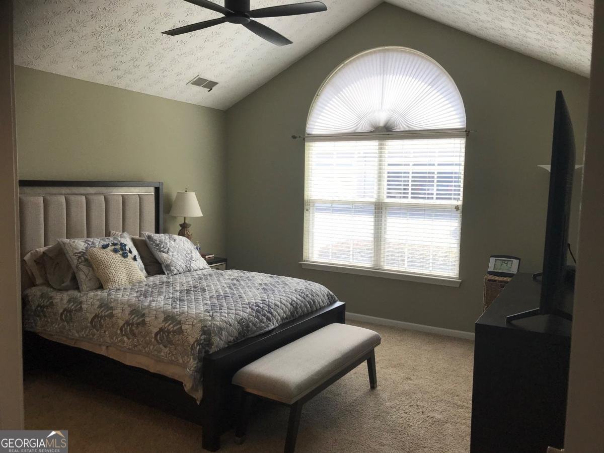 3728 Vineyards Lake Circle Kennesaw - 19