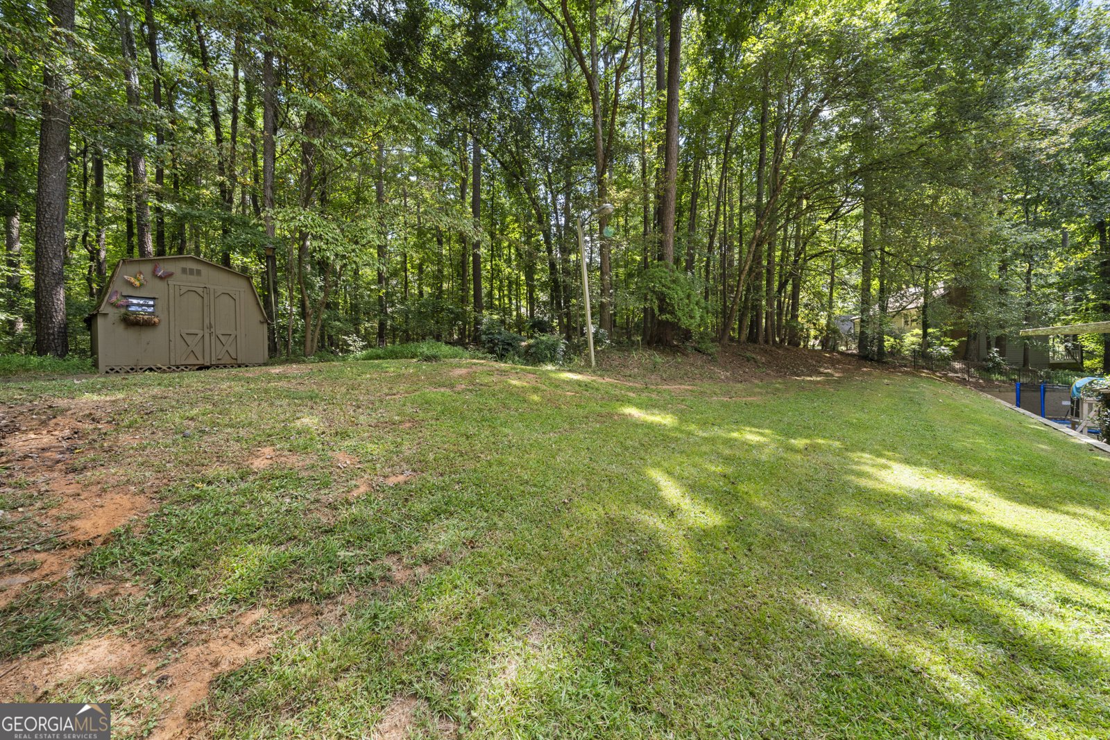 100 Ashland Trail Tyrone - 43