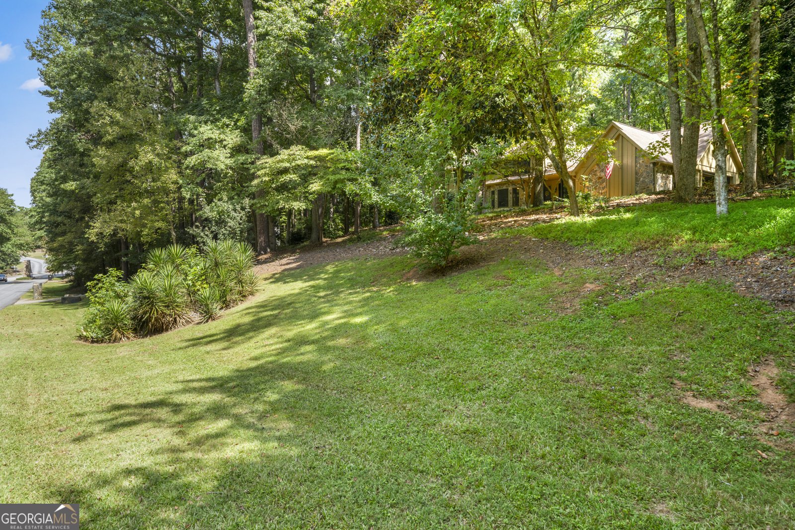 100 Ashland Trail Tyrone - 5