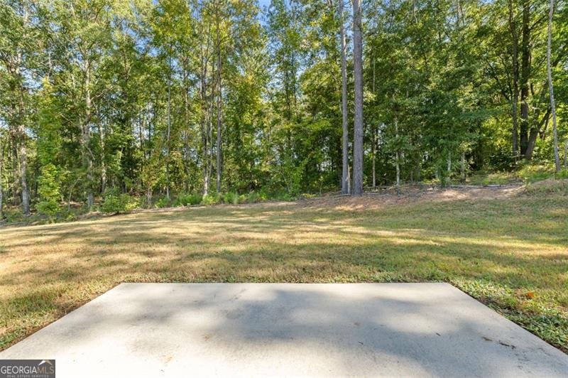104 Armory Creek Drive Jackson - 42