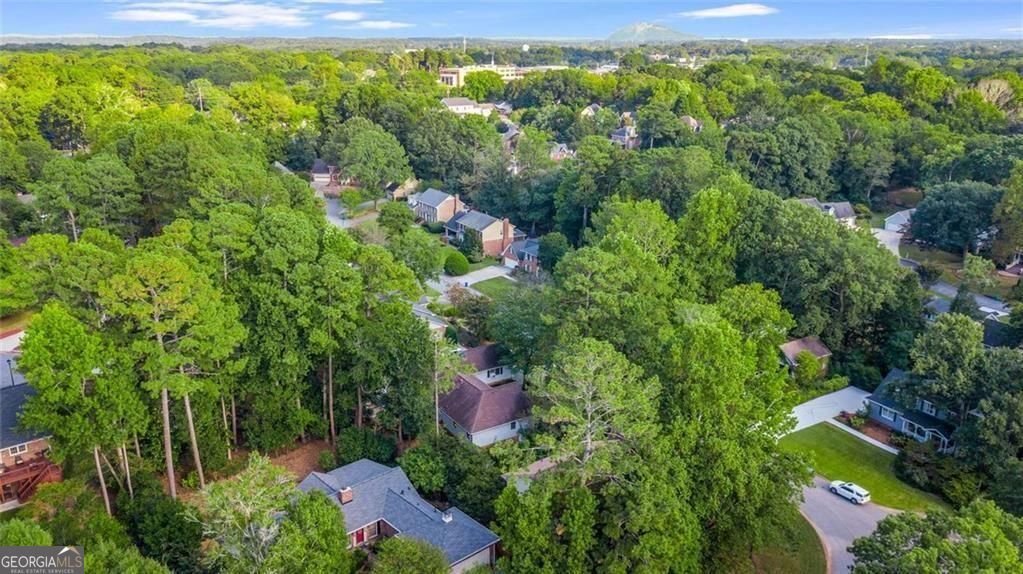 2452 Pine Cove Drive Tucker - 49