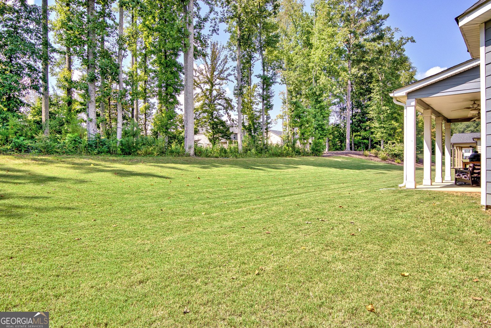 400 Mulberry Drive Senoia - 28