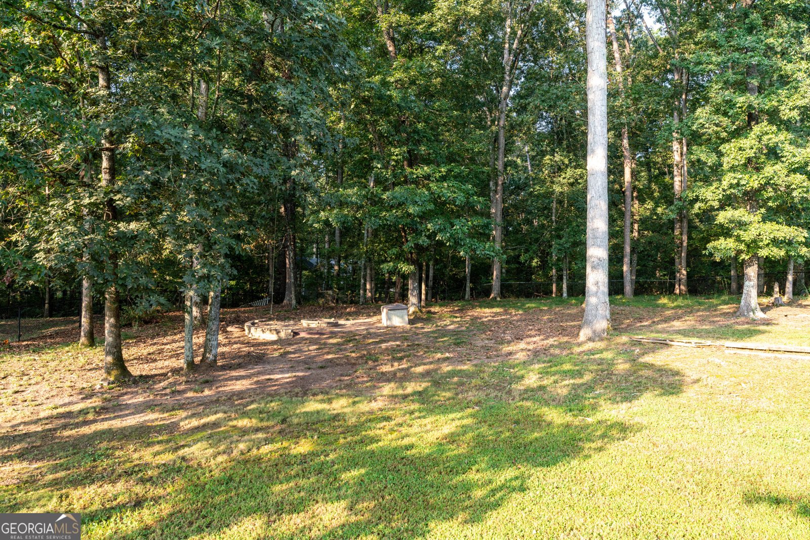 3641 Willow Club Drive Loganville - 21