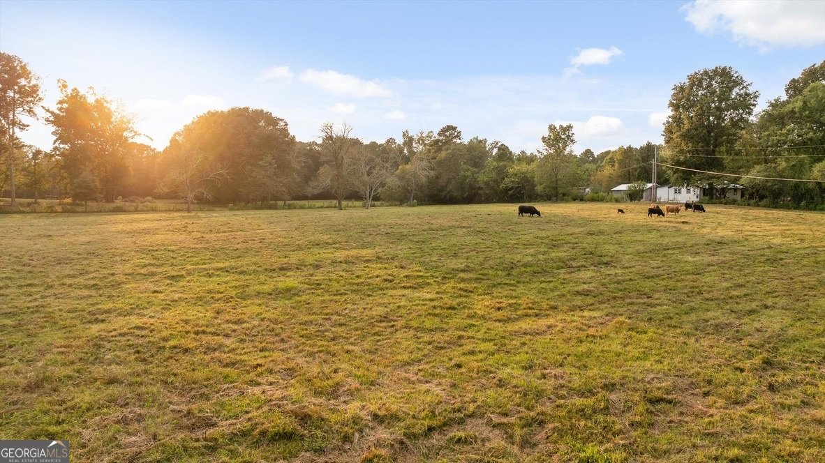 446 Brown Bridge Road Chatsworth - 17