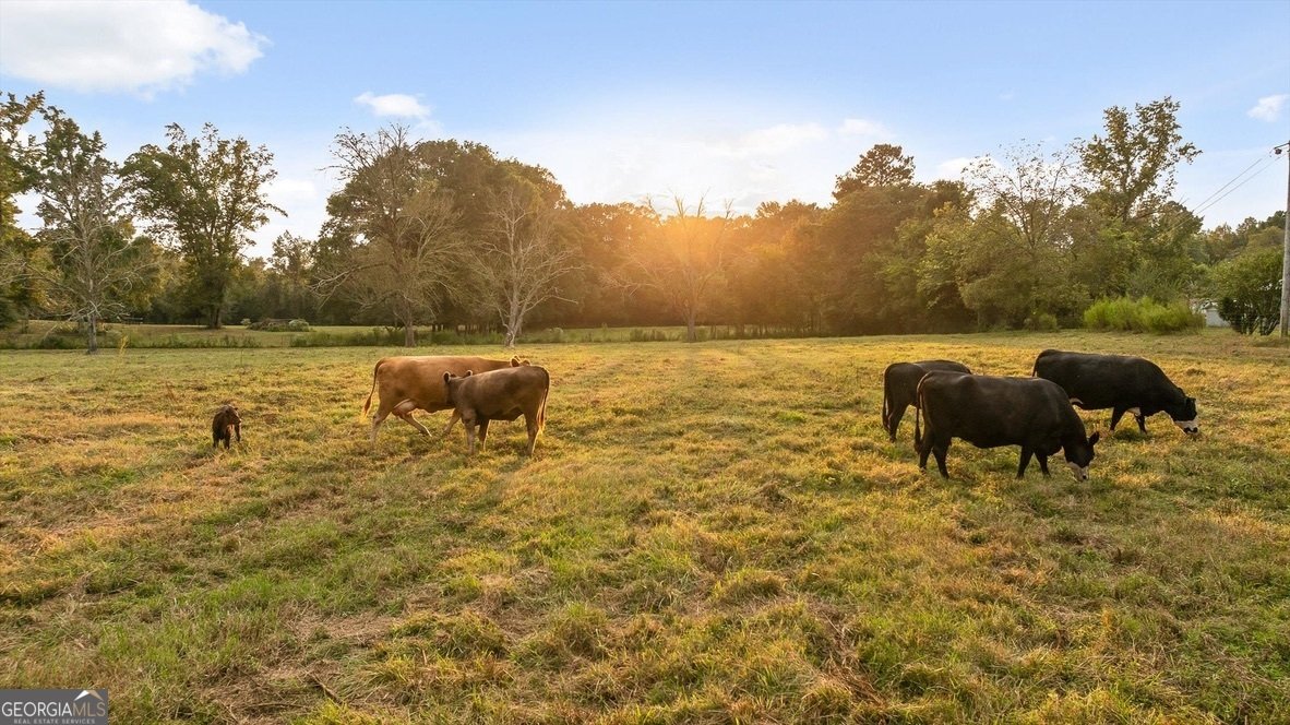 446 Brown Bridge Road Chatsworth - 2