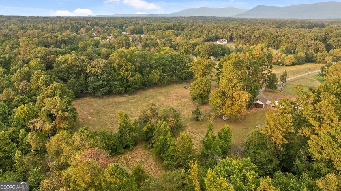 446 Brown Bridge Road Chatsworth - 25