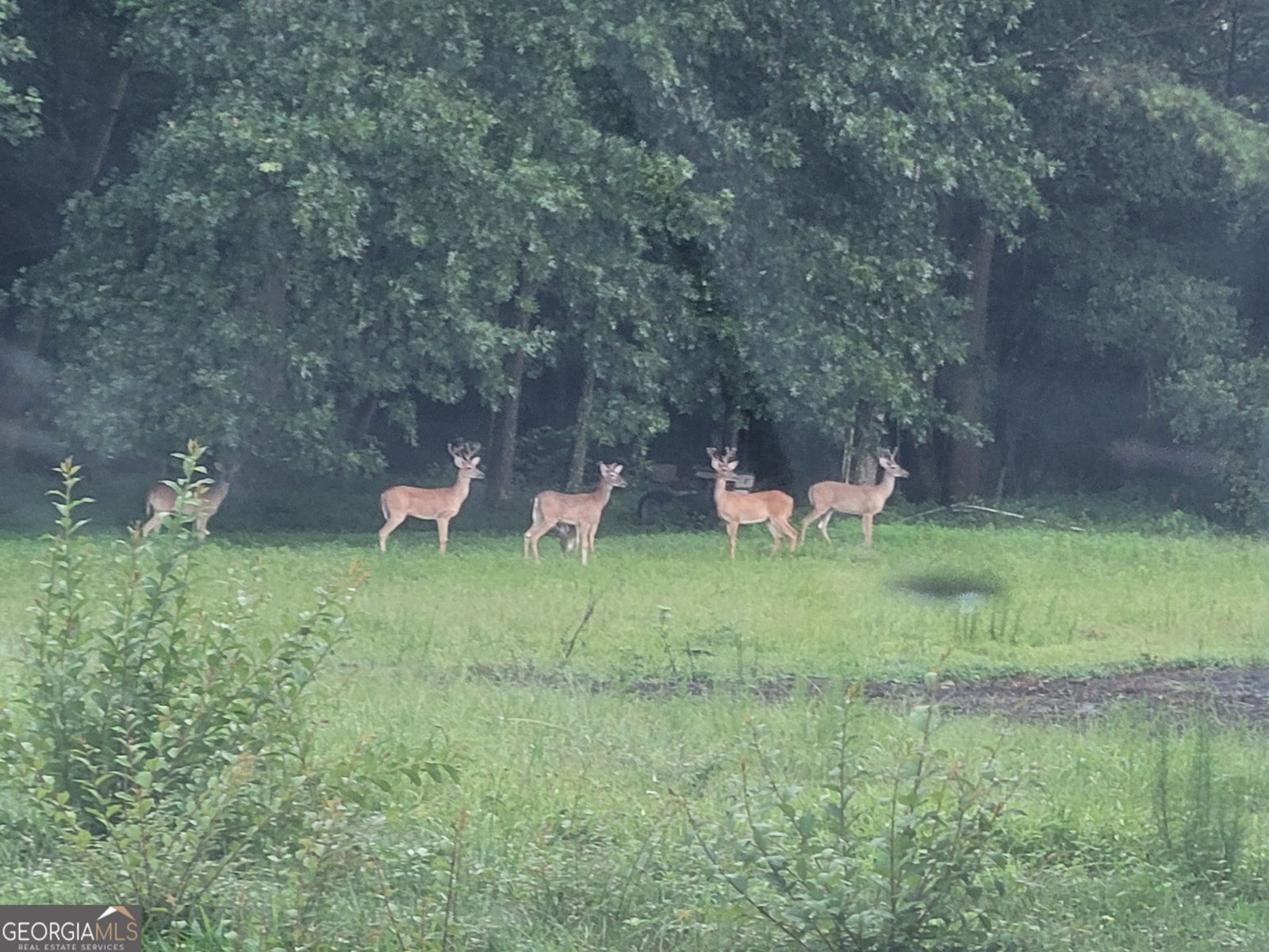 446 Brown Bridge Road Chatsworth - 36