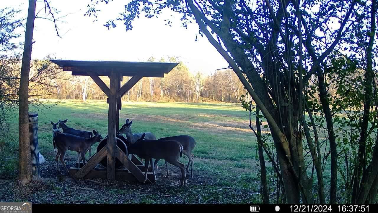 446 Brown Bridge Road Chatsworth - 37