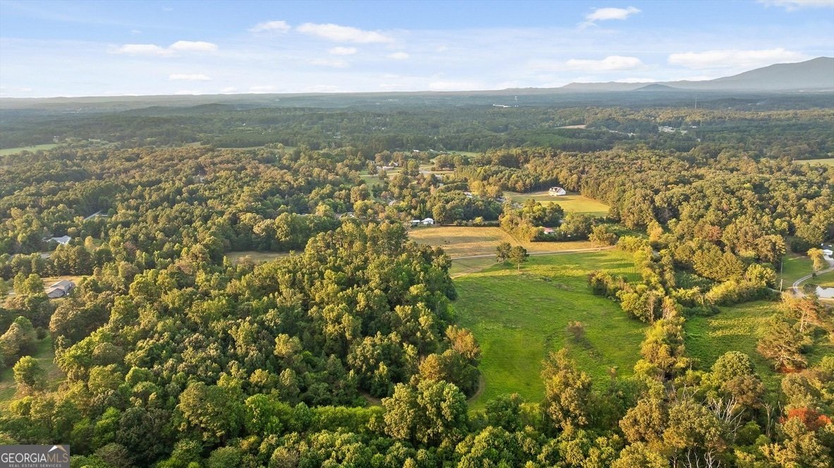 446 Brown Bridge Road Chatsworth - 7