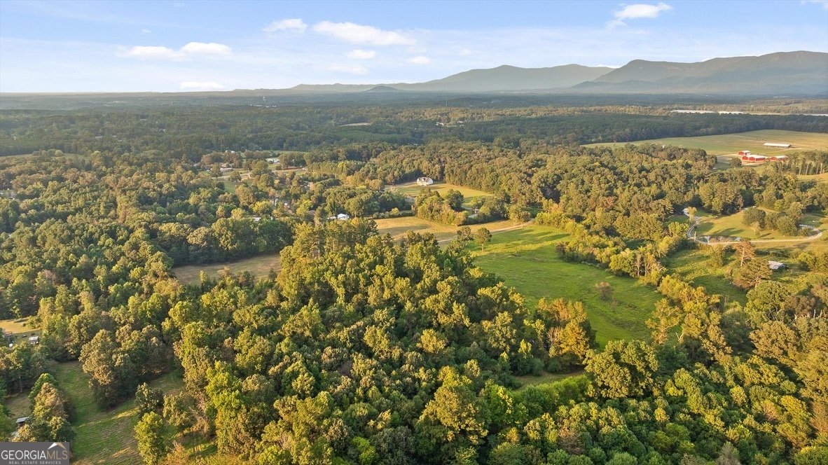 446 Brown Bridge Road Chatsworth - 8