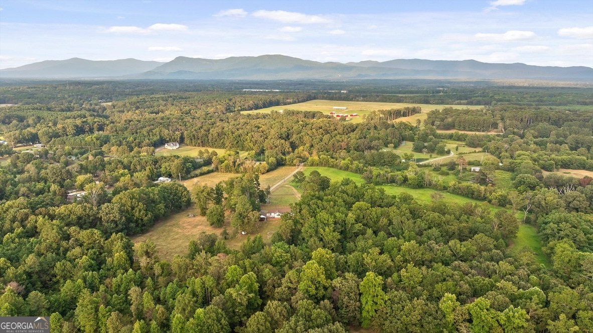 446 Brown Bridge Road Chatsworth - 9