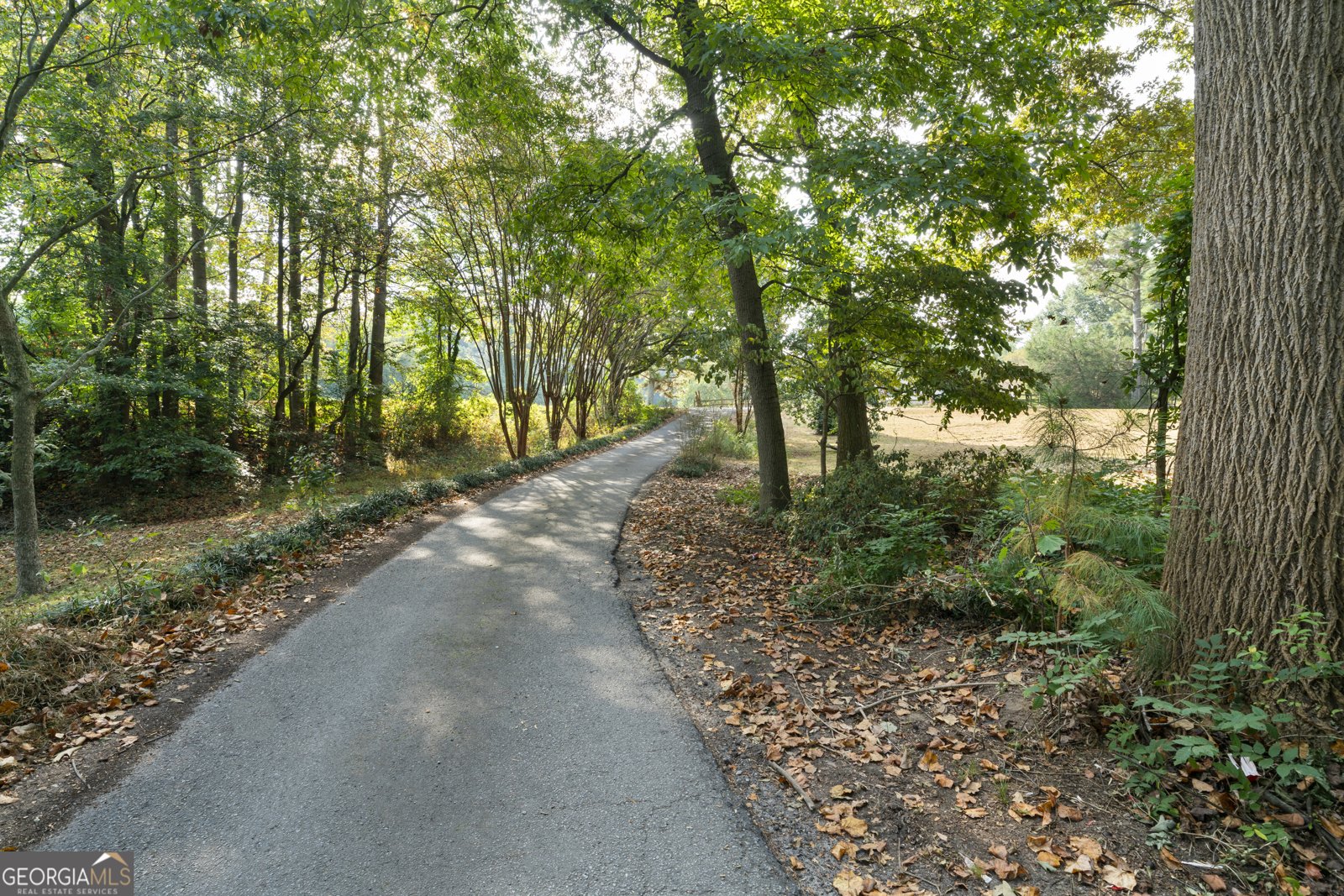 1052 Harlan Lane Road Villa Rica - 23