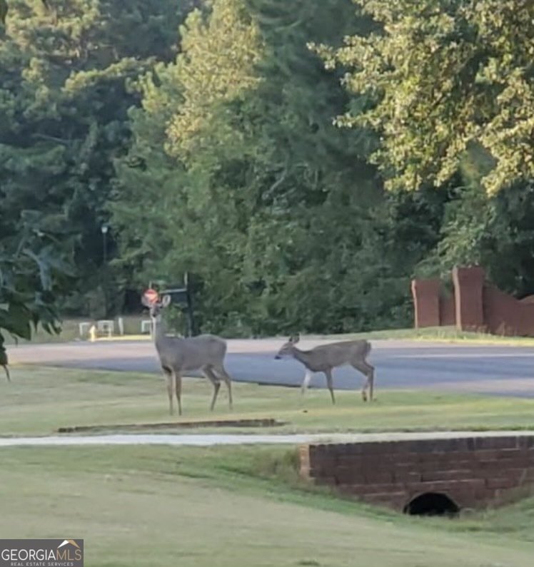 50 Walnut Ridge Court Covington - 15