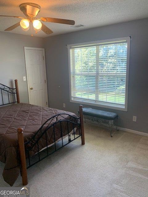 7031 COATSWORTH Drive Stockbridge - 27