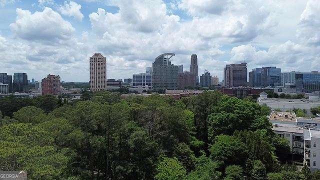 3667 Peachtree Road Atlanta - 41