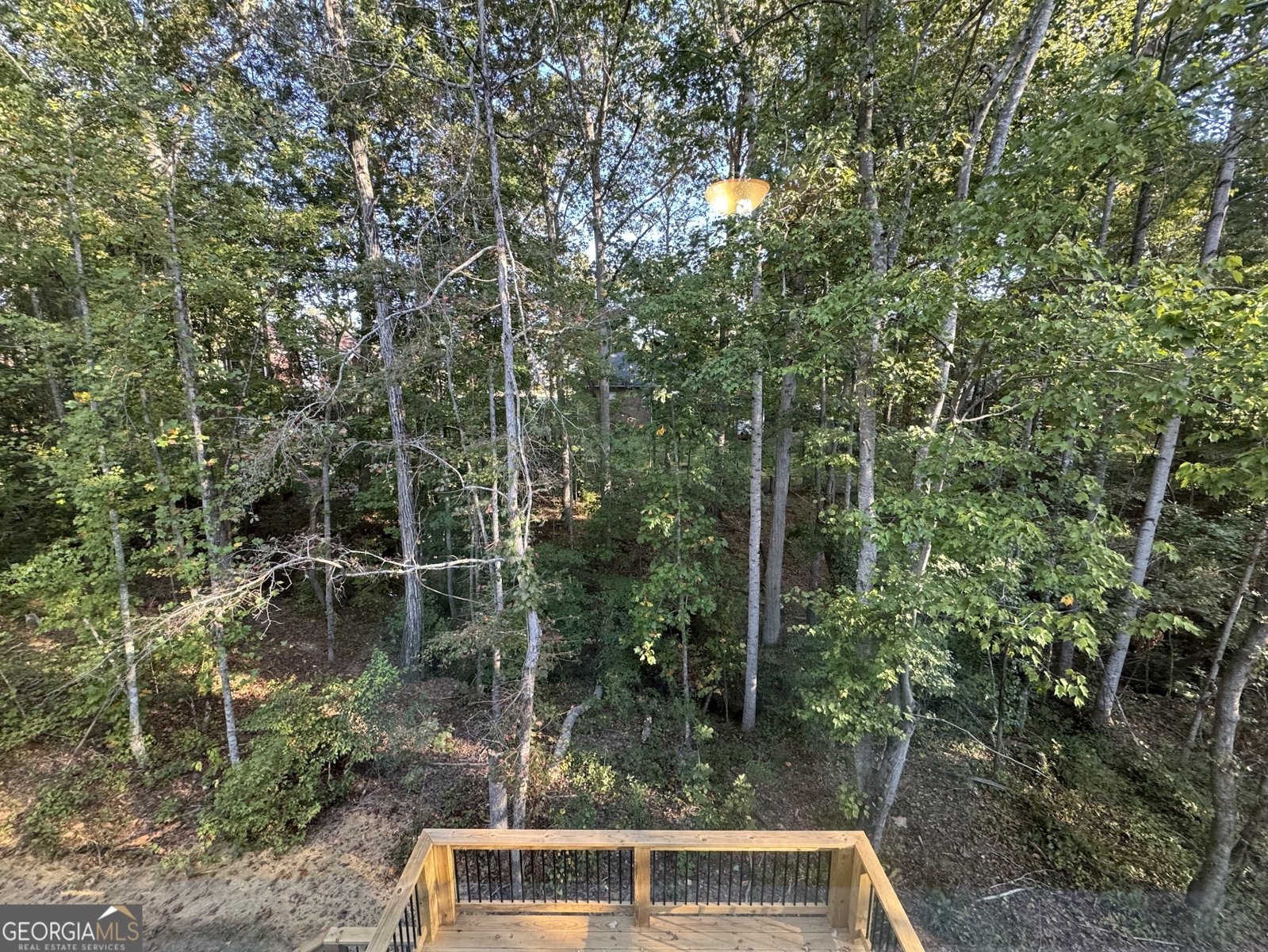 3019 Beverly Court McDonough - 47