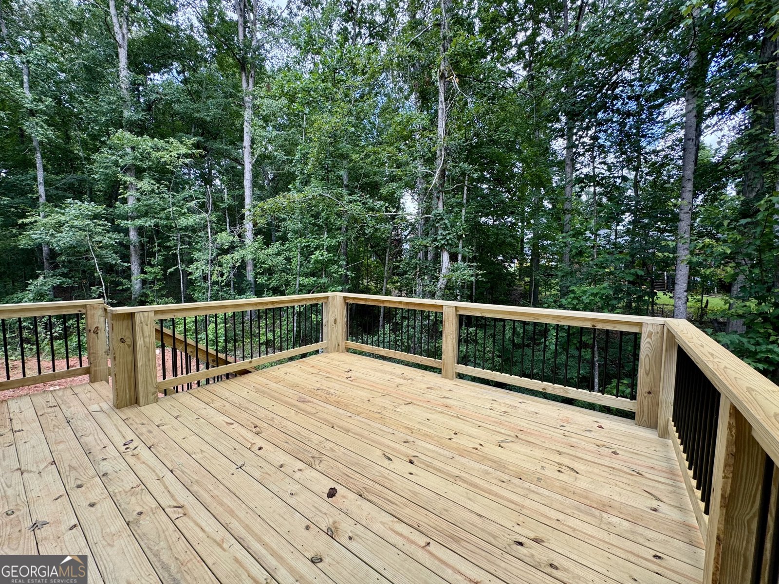 3019 Beverly Court McDonough - 48