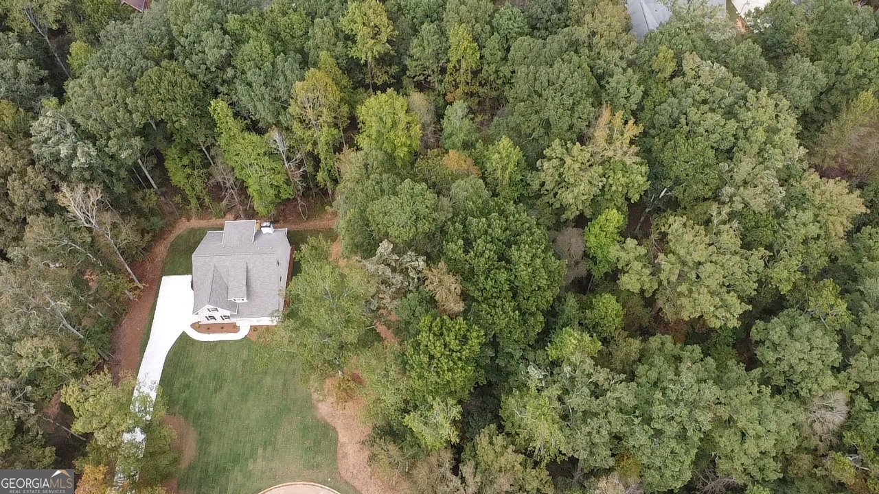 3019 Beverly Court McDonough - 59