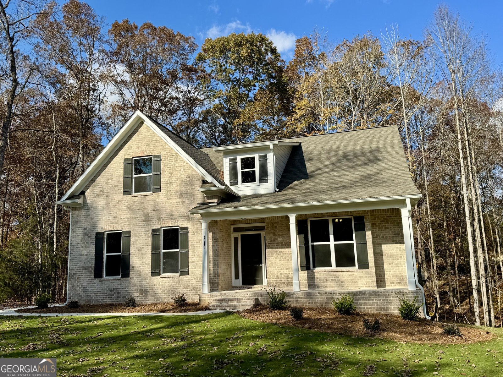 3019 Beverly Court McDonough - 60